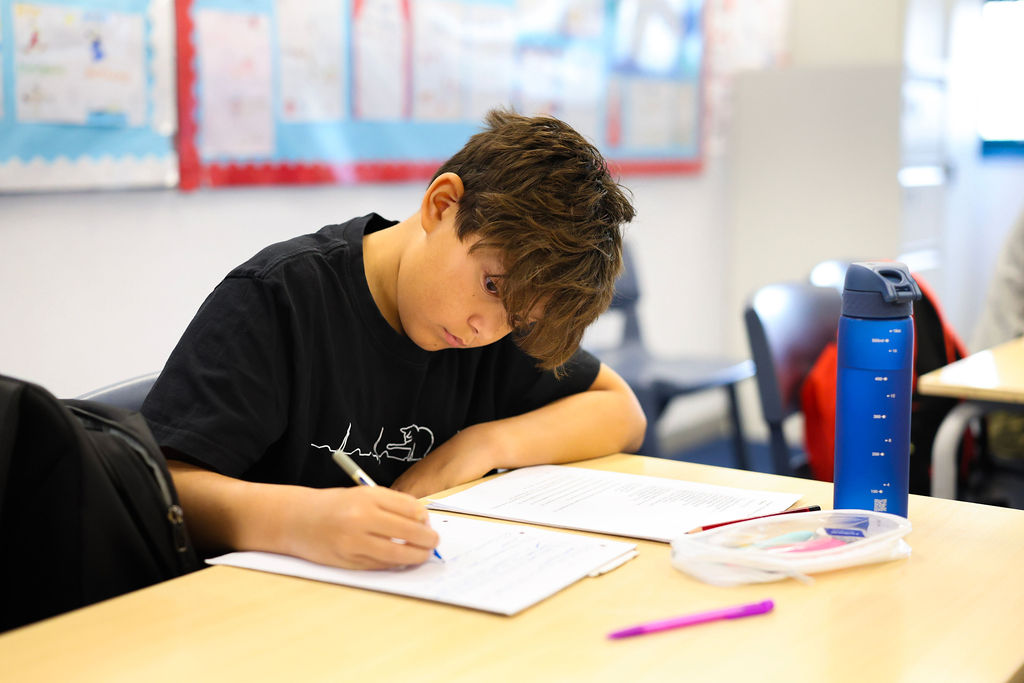 Free Verbal Reasoning mock
